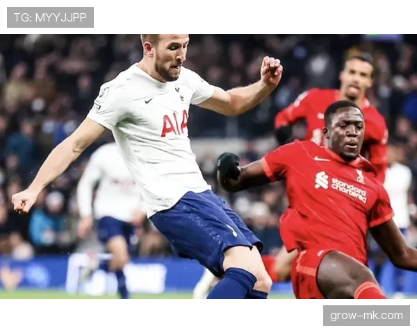 索兰克状态持续火热,助球队稳居英超积分榜前列 索兰克状态持续火热,助球队稳居英超积分榜前列