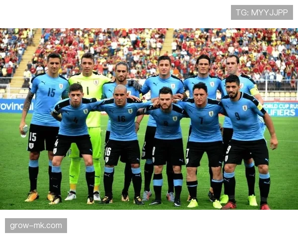 秘鲁队中场稳健发挥,出色控场能力显著提升球队竞争力 秘鲁队中场稳健发挥,出色控场能力显著提升球队竞争力