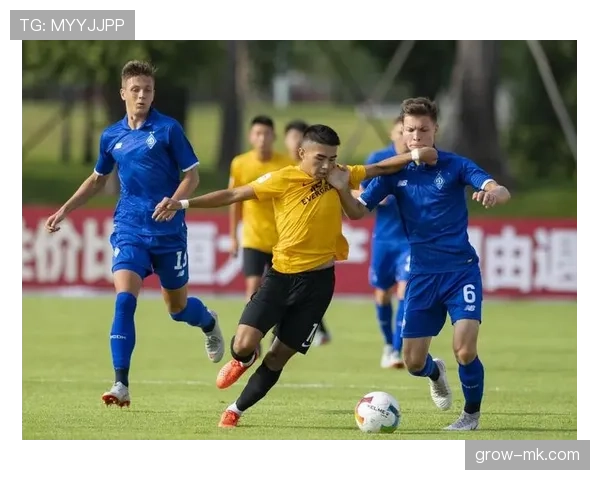 泰国队勇夺东盟王者称号,表现稳健引发关注 泰国队勇夺东盟王者称号,表现稳健引发关注