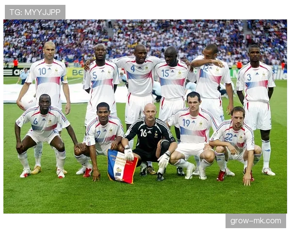 法国队迎来世界杯双冠传奇,再创辉煌表现值得关注 法国队迎来世界杯双冠传奇,再创辉煌表现值得关注