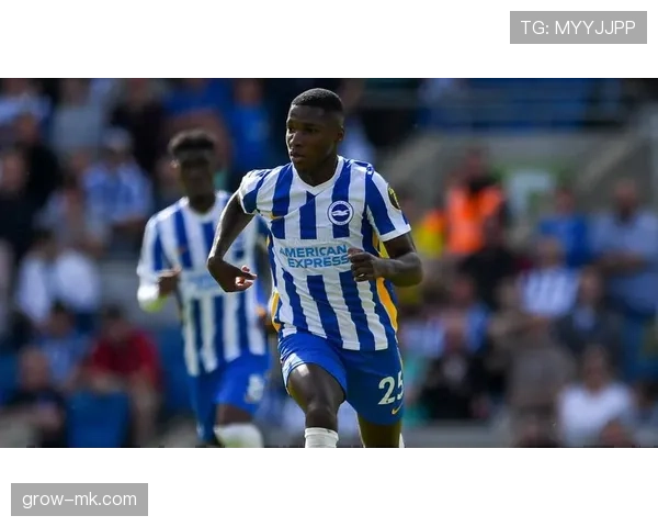 英超凯塞多布莱顿 英超凯塞多布莱顿