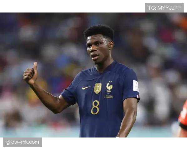 琼阿梅尼点球失误引发的技术稳定性与心理抗压能力分析