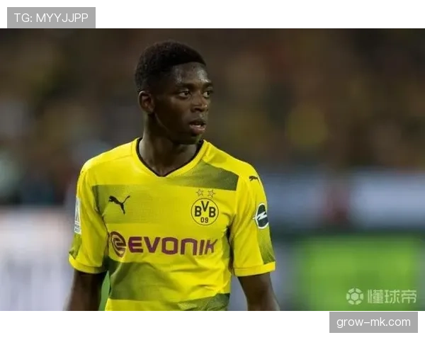 登贝莱伤病体质特征及对其职业发展的影响分析